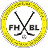 FHBL - 2.liga logo